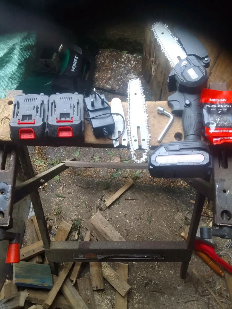 Chainsaw - Image 4