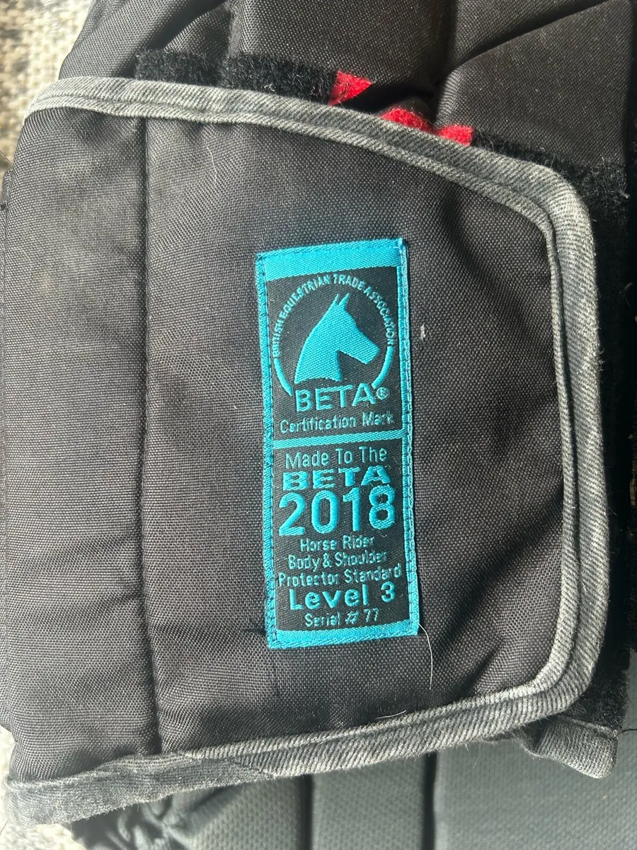 Horse Riding Back Protector X2 - Image 2
