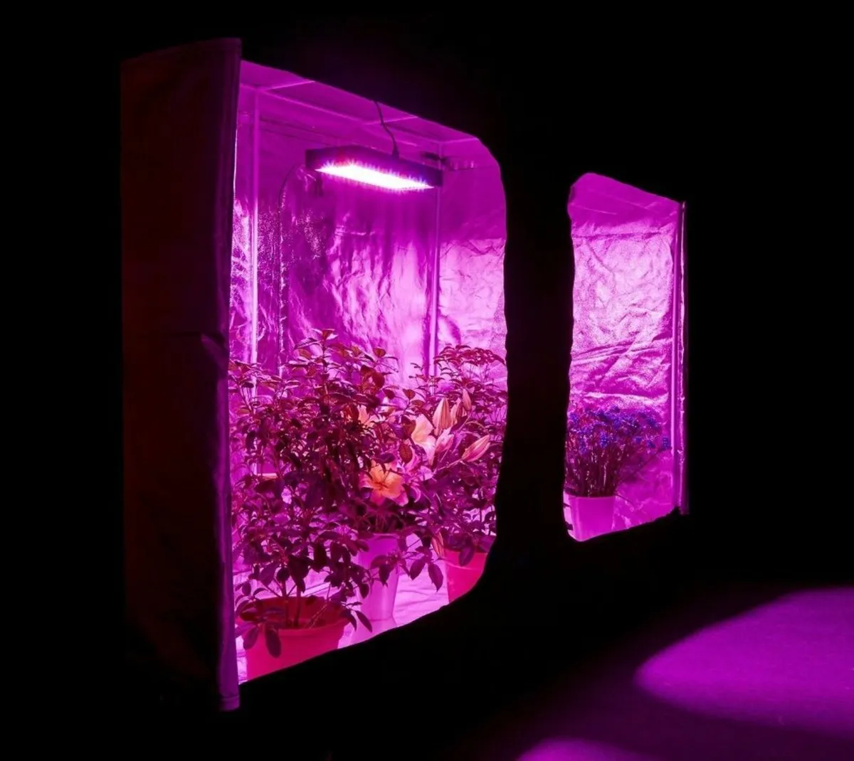 LED Grow Light Bloom Veg Full spectrum 1200W Timer - Image 4