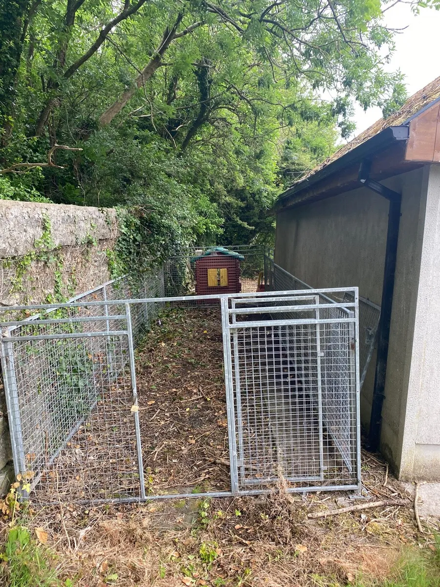 Dog pen - Image 1