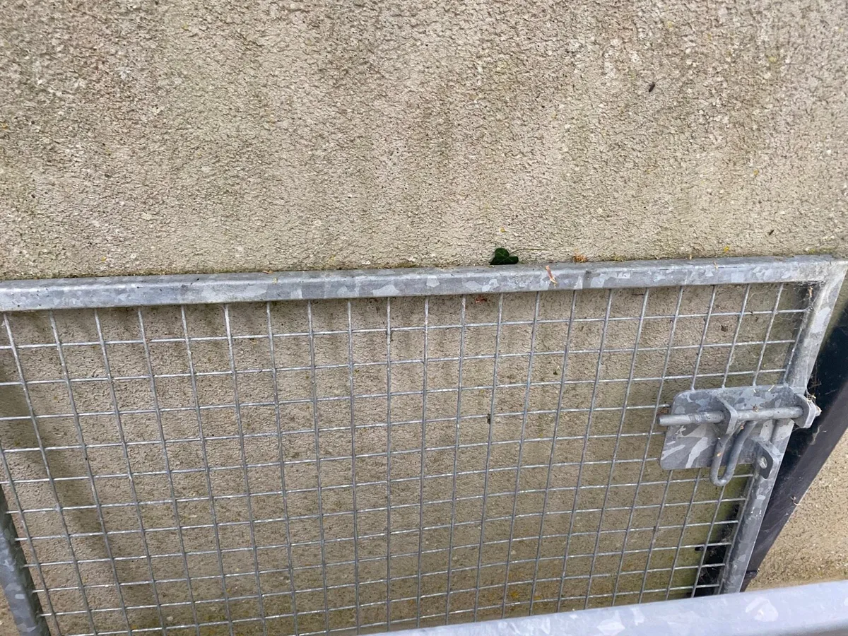 Dog pen - Image 3