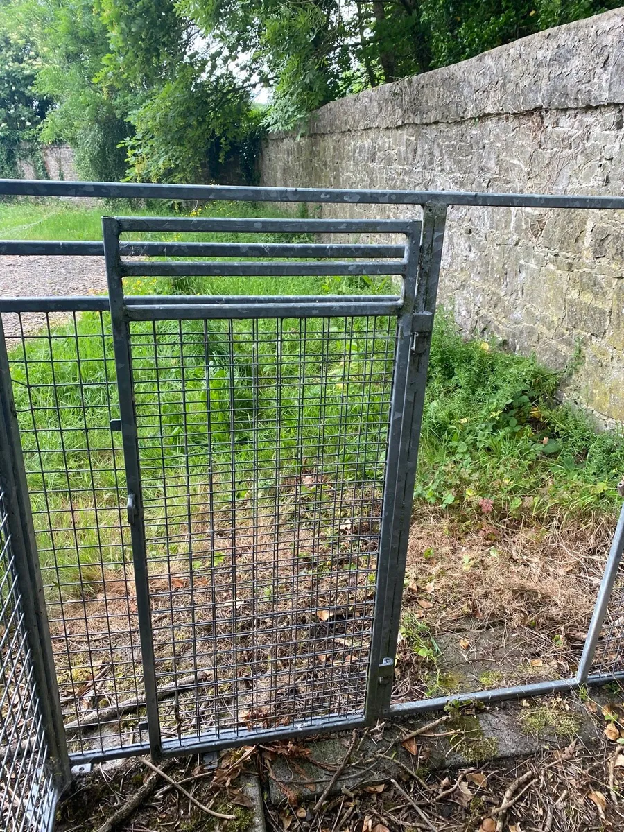 Dog pen - Image 4