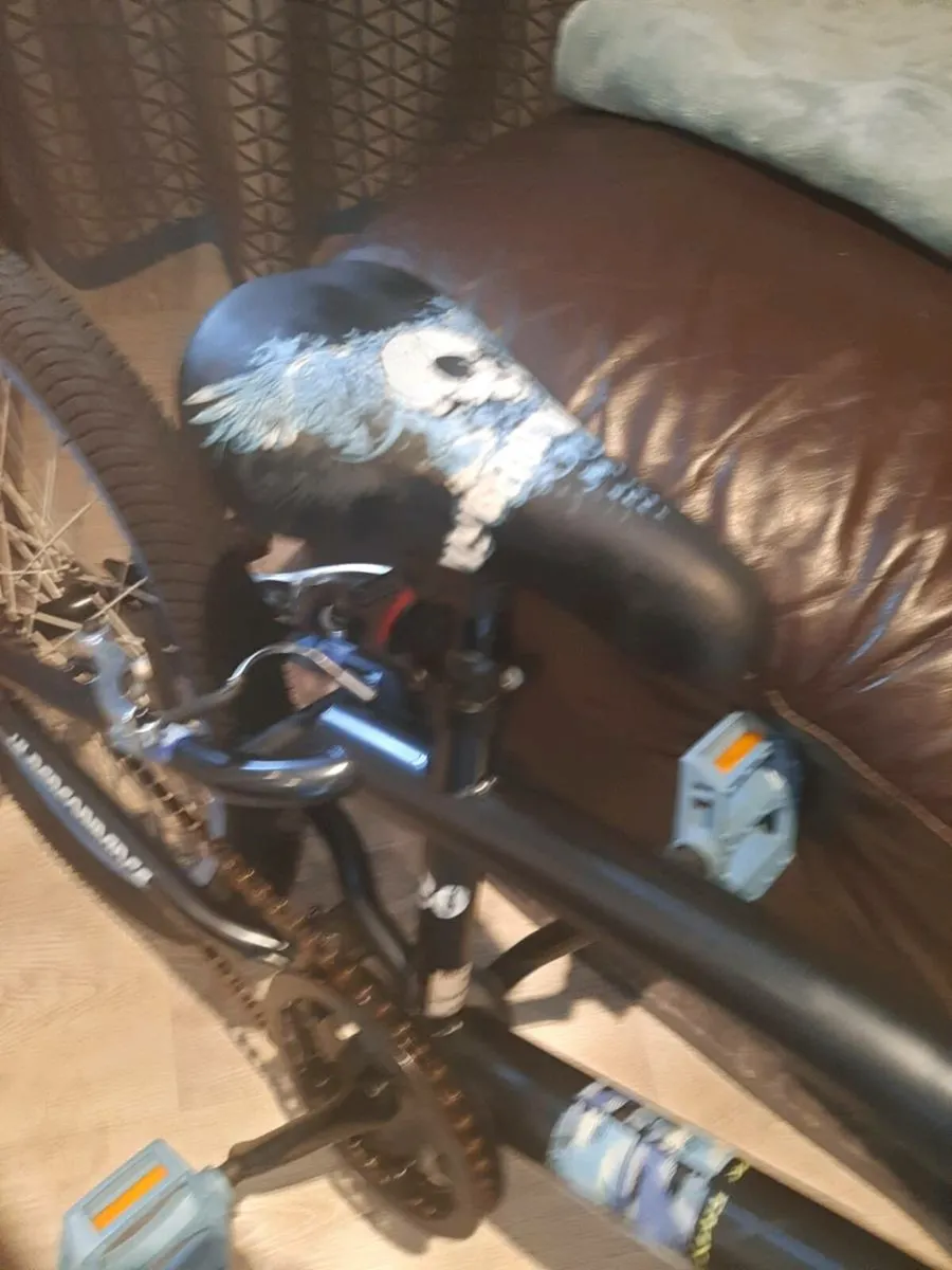 Bmx - Image 3