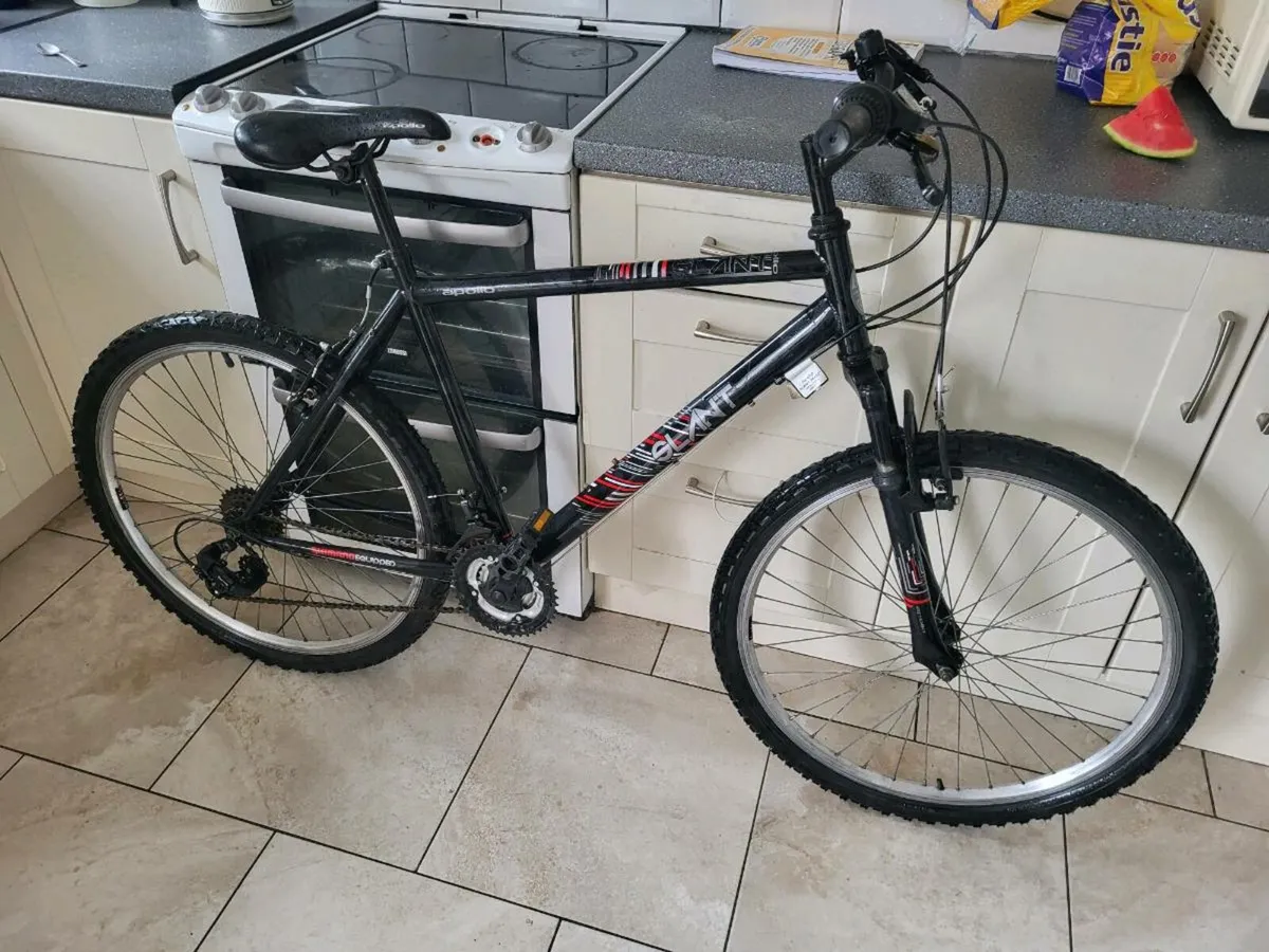 Mountain bike - Image 1