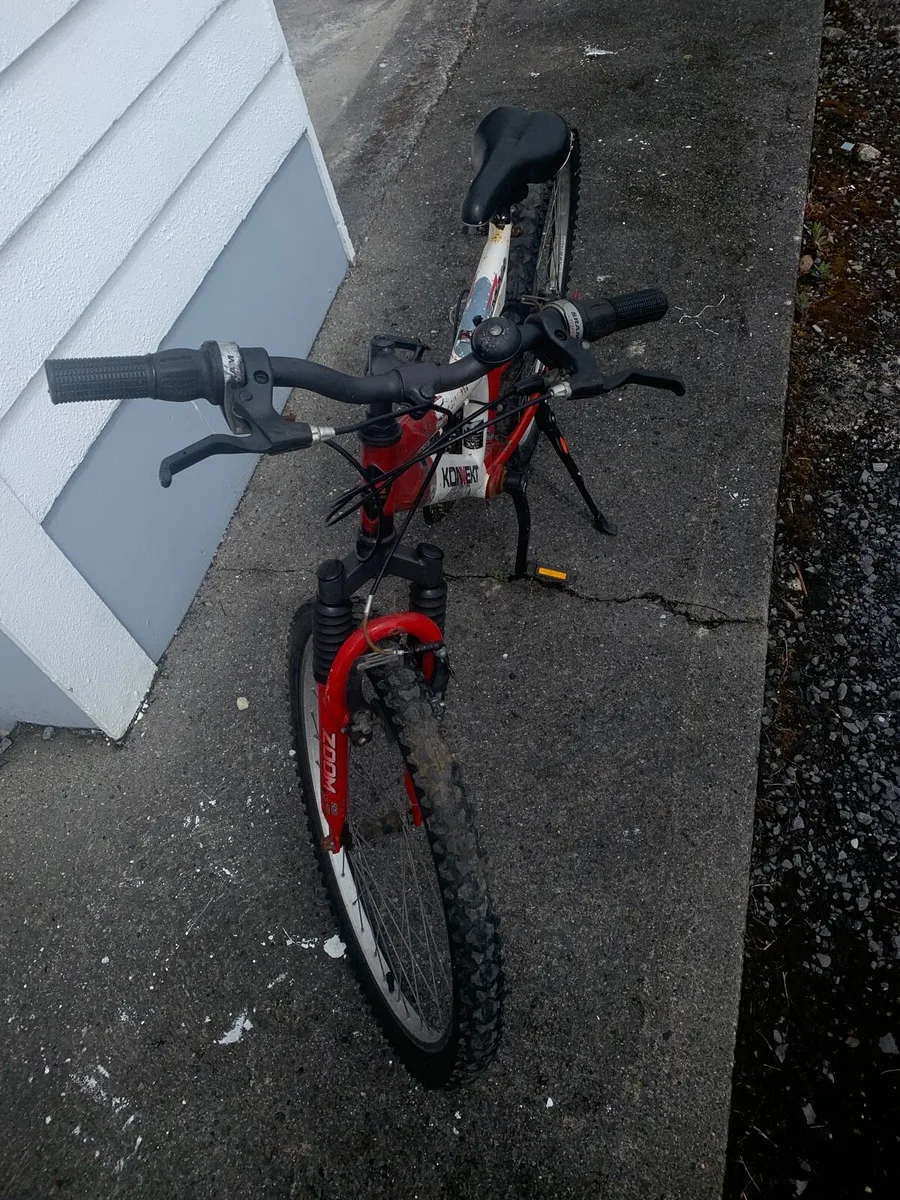 Small bike - Image 2