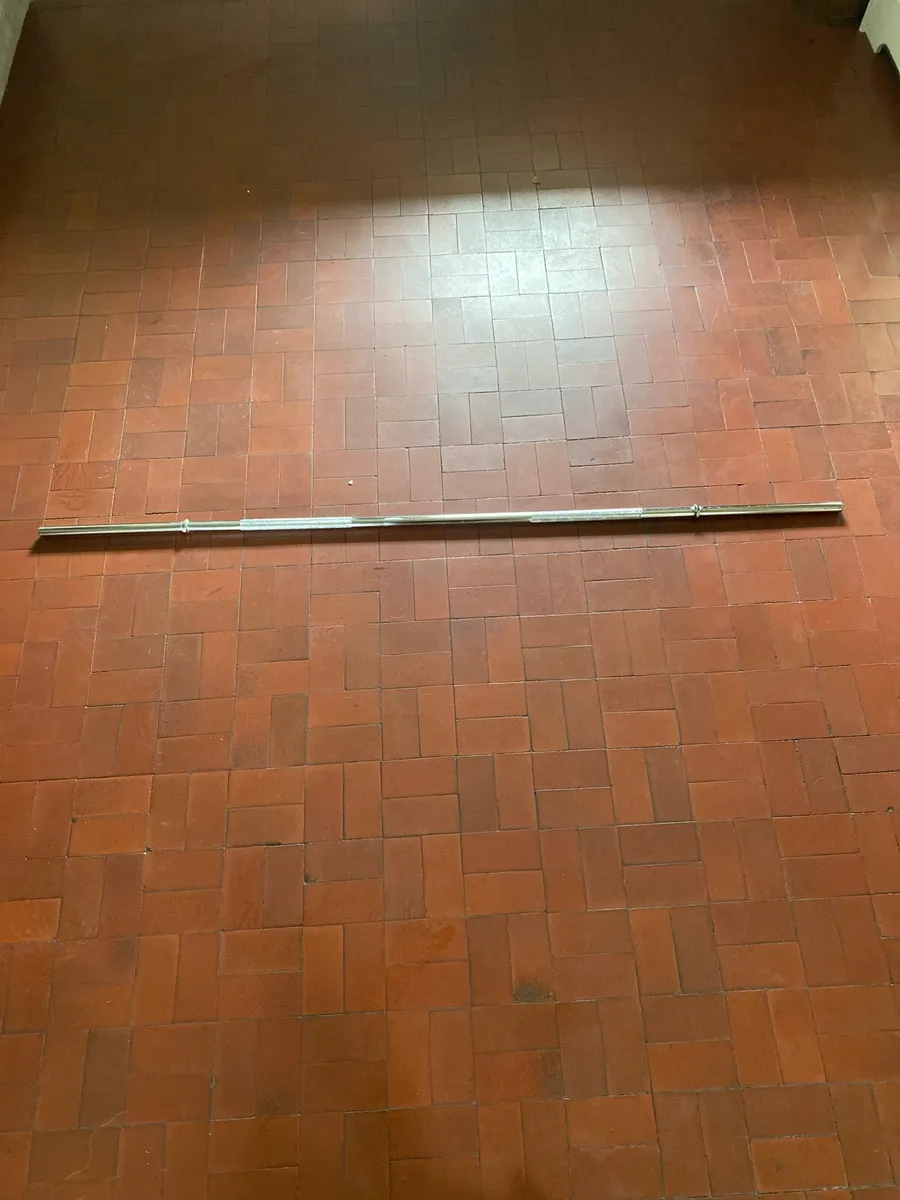 10kg barbell - Image 1
