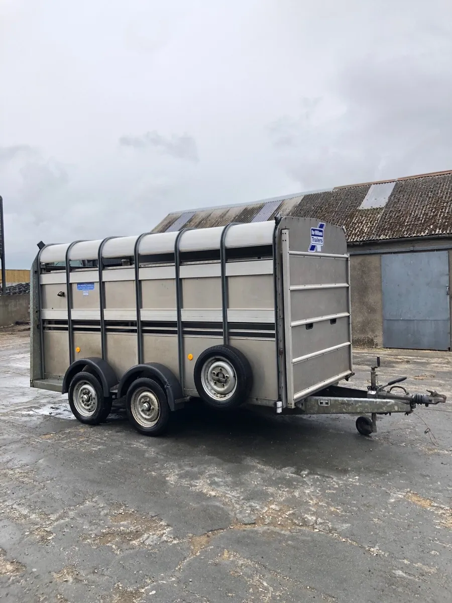 Ivor Williams cattle trailer - Image 2