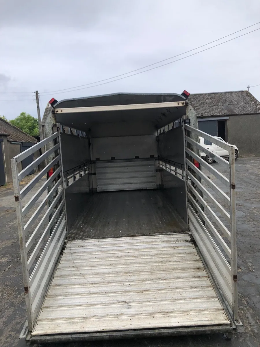 Ivor Williams cattle trailer - Image 3