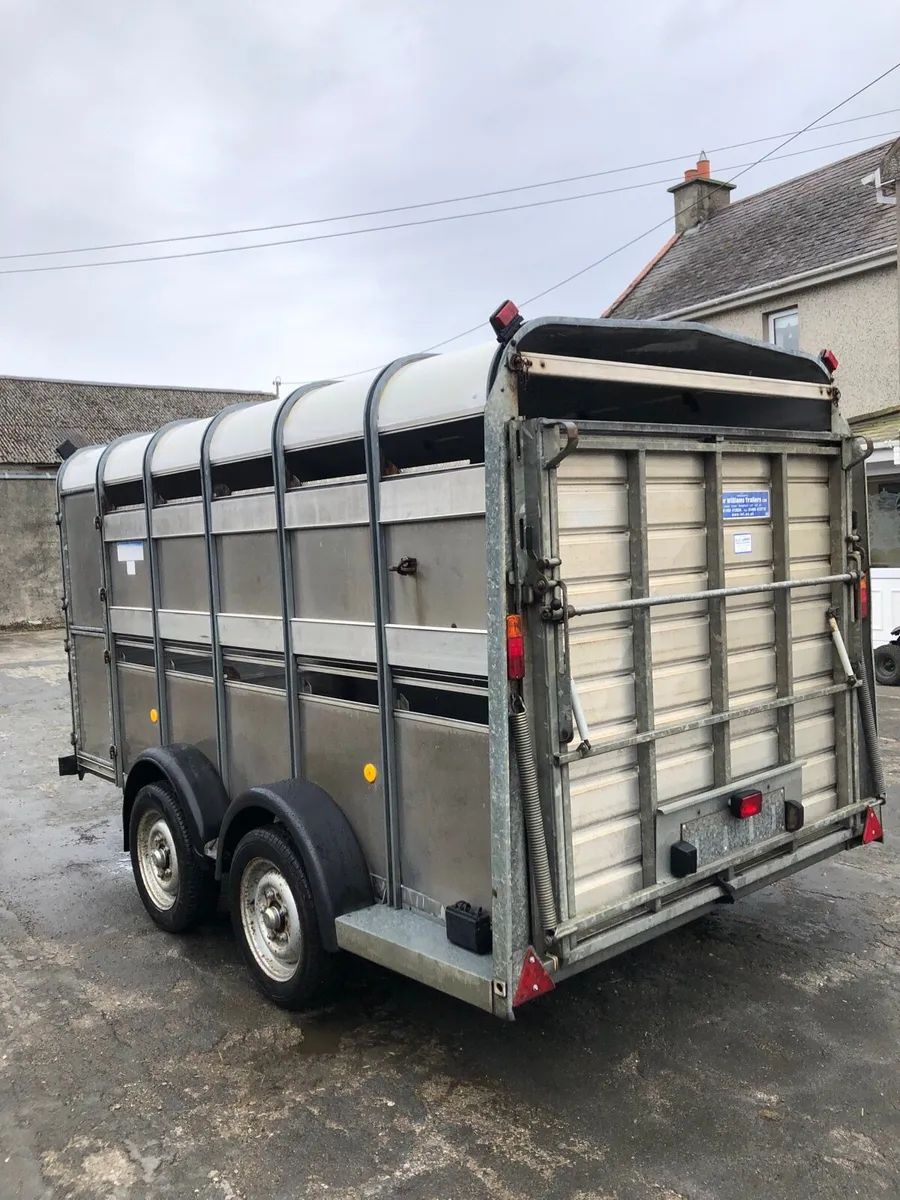 Ivor Williams cattle trailer - Image 4