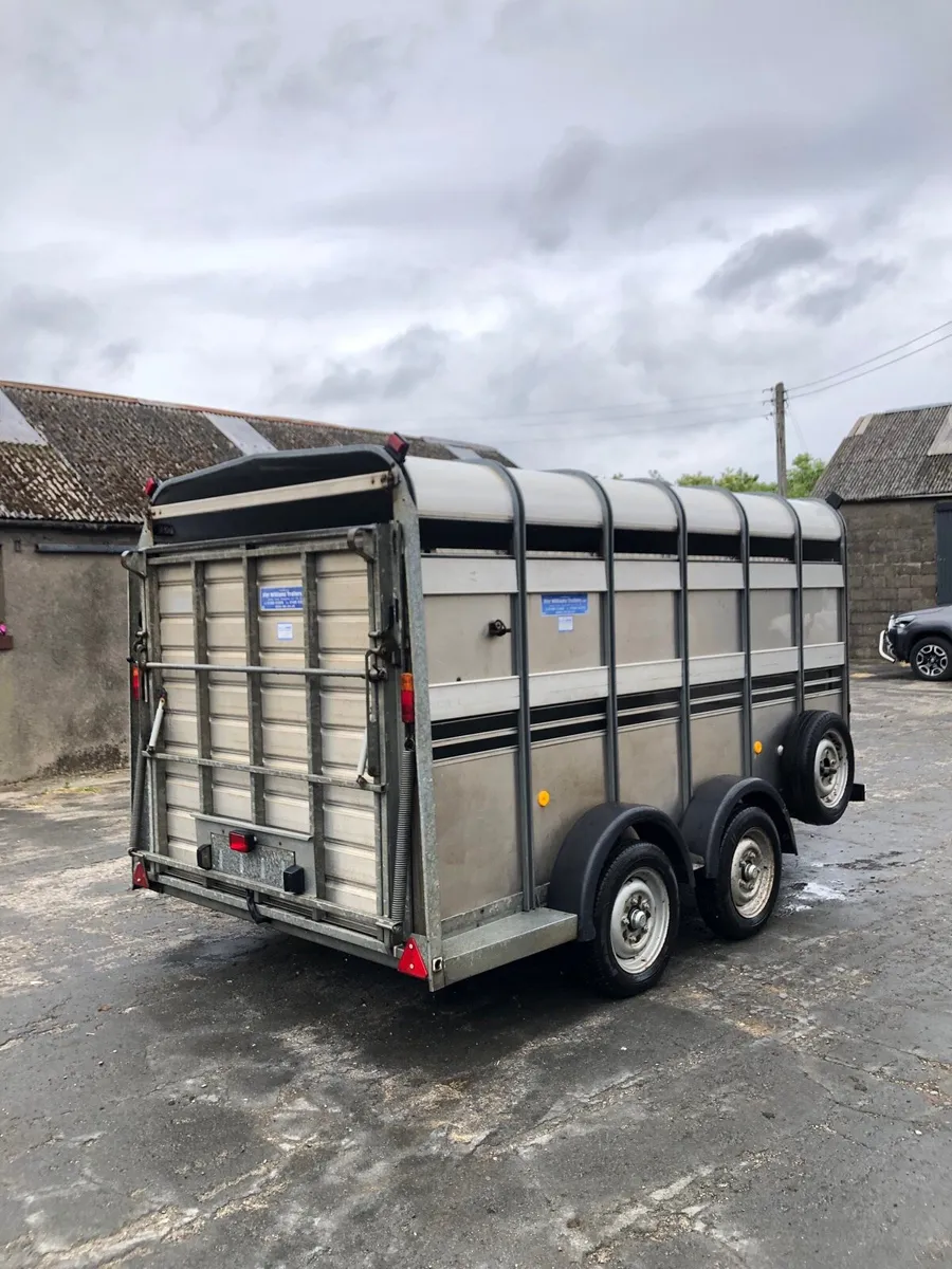 Ivor Williams cattle trailer - Image 1