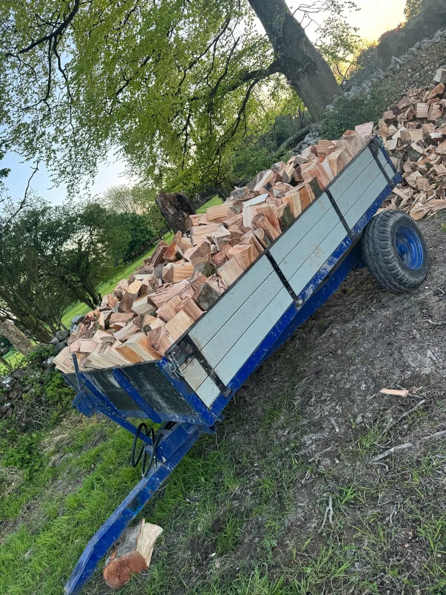 Beech Firewood - Image 2