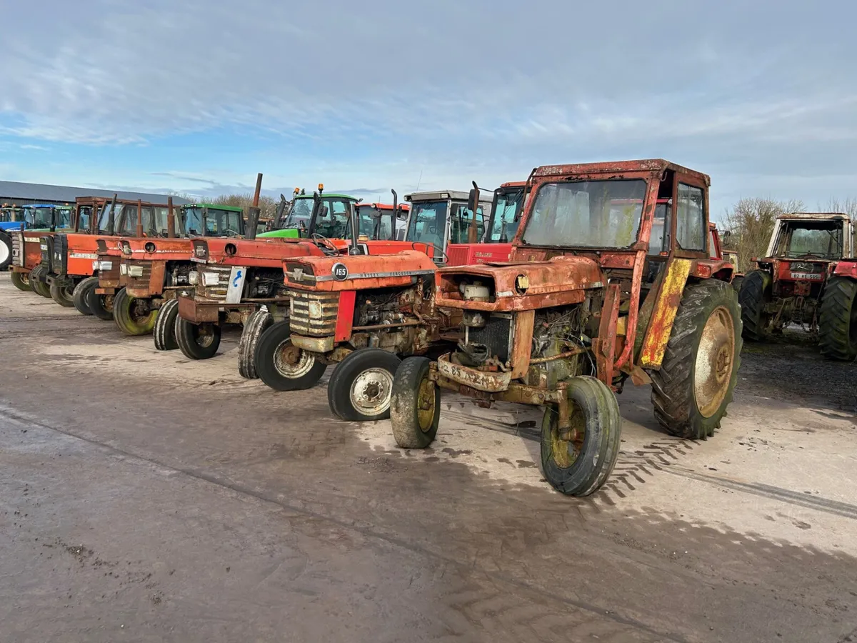 Wanted All Massey Ferguson Tractors - Image 1