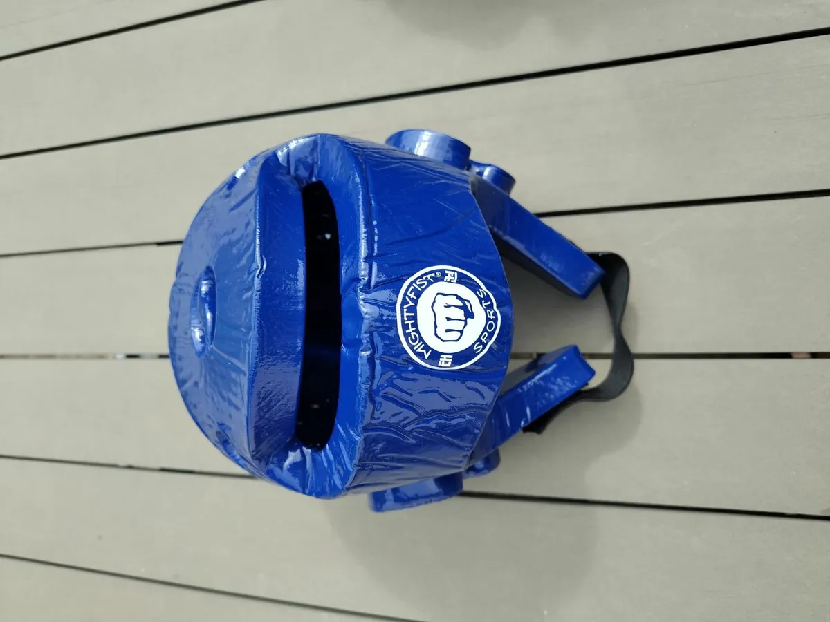 Taekwondo Sparring Gear - Image 2