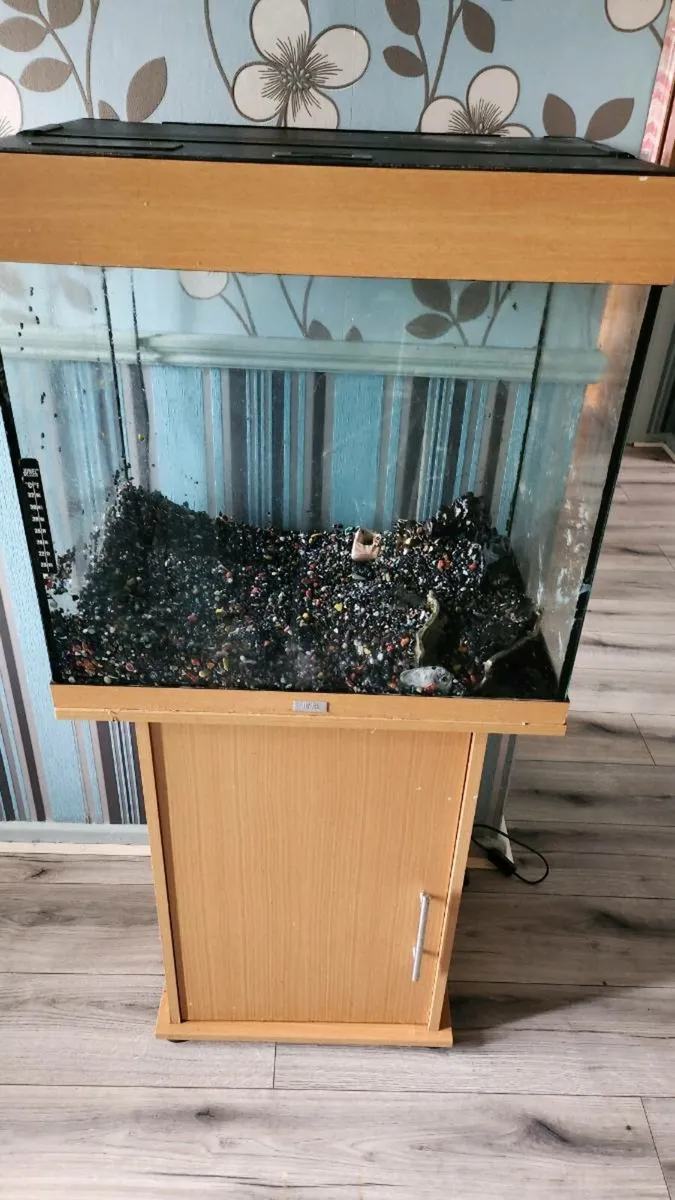 Large fish tank and stand - Image 1
