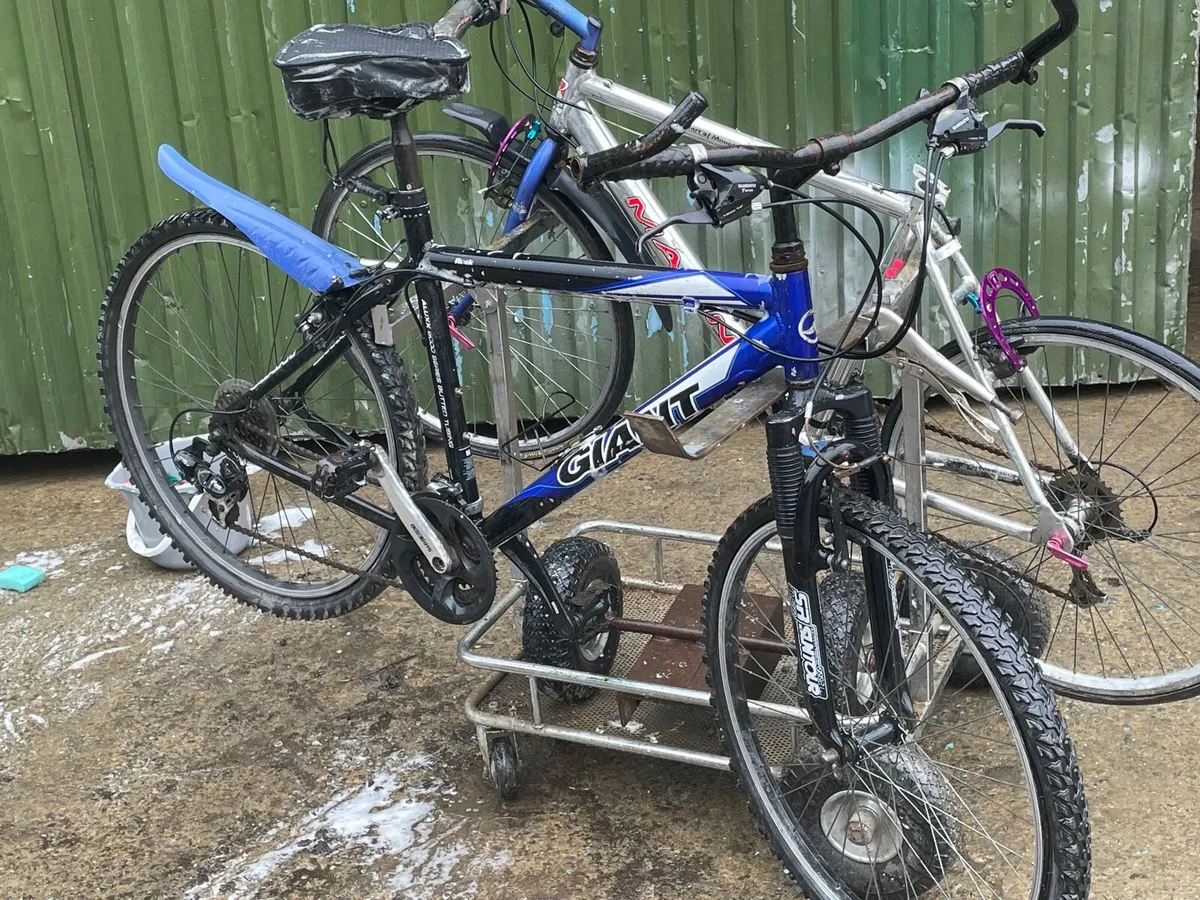 Giant mountain bike - Image 1