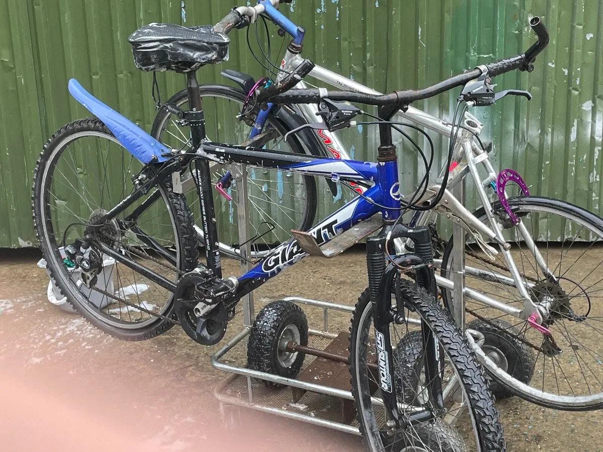 Giant mountain bike - Image 2