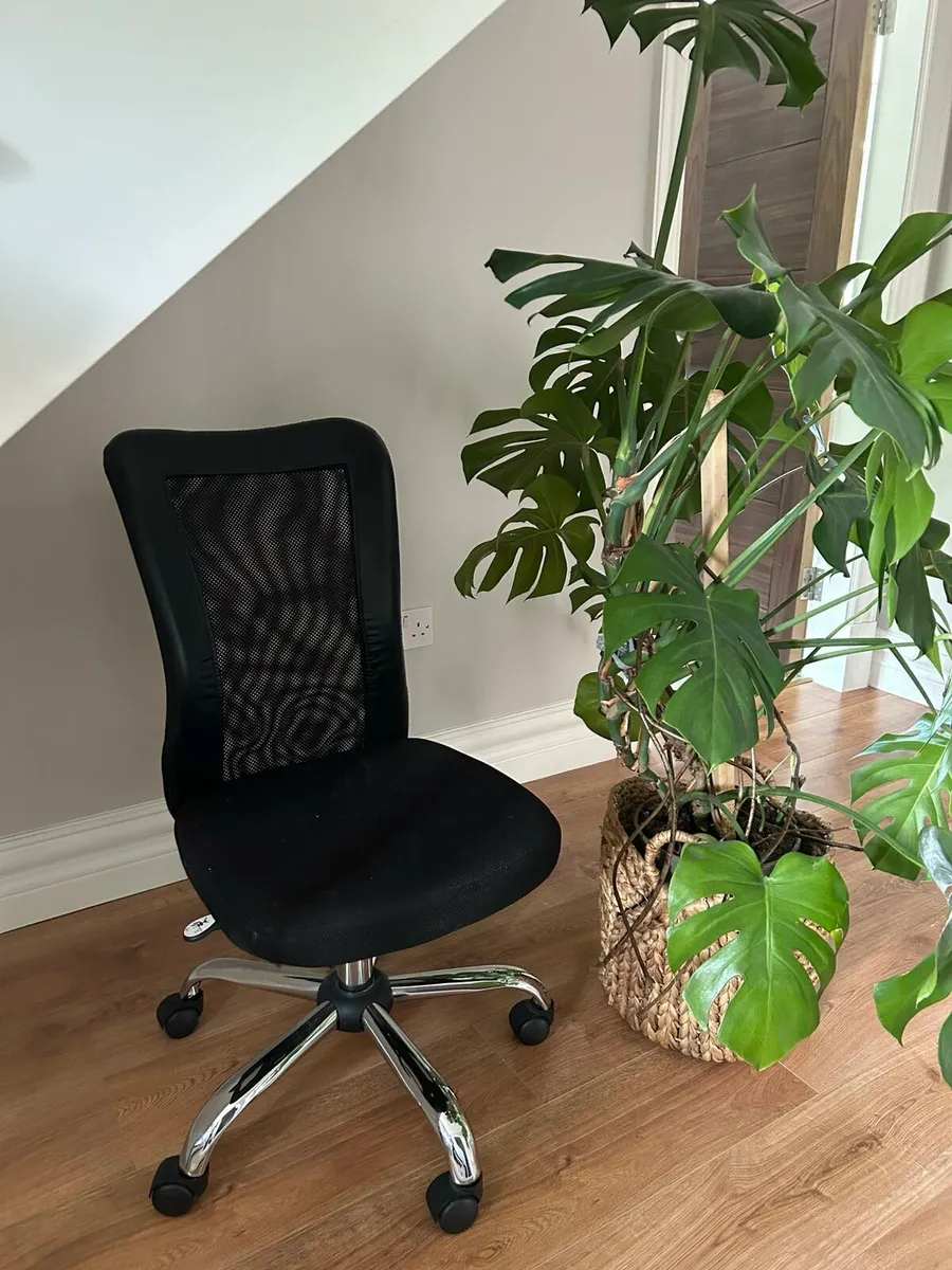 Computer Desk chair