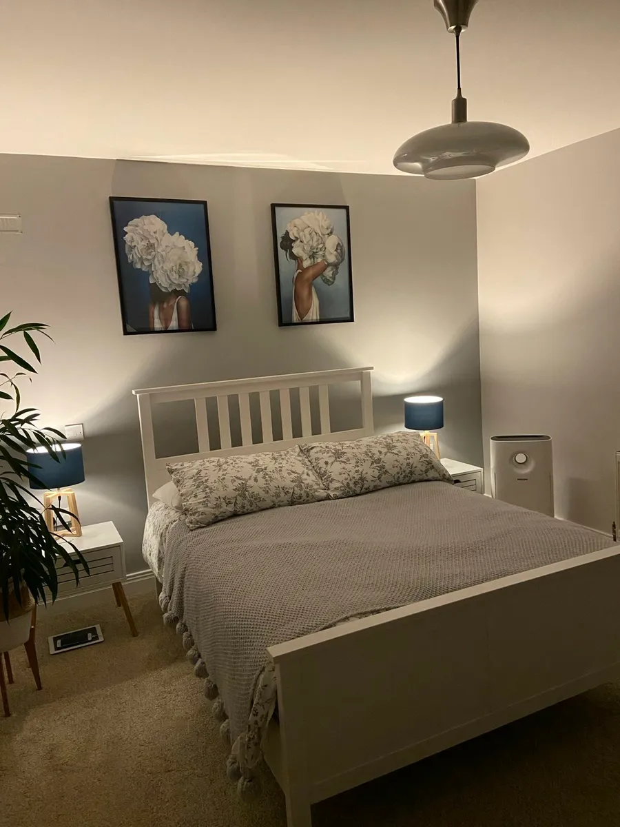 Two framed pictures.
