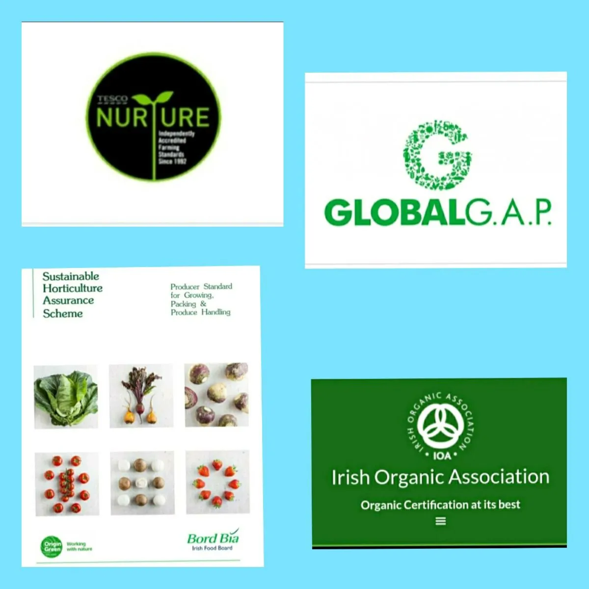 Bord Bia Audit Prep Fruit & Veg Producers - Image 1