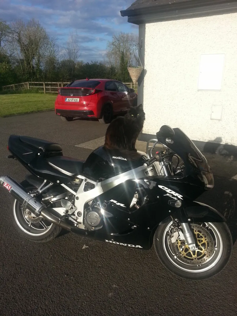 Honda CBR 900 - Image 4