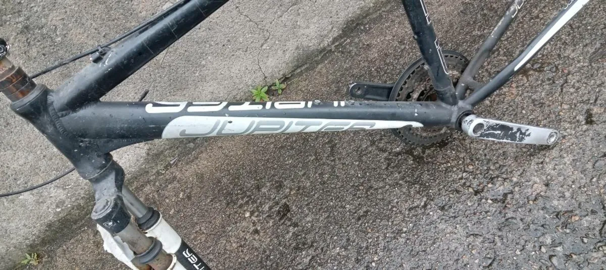 Bike frame - Image 2