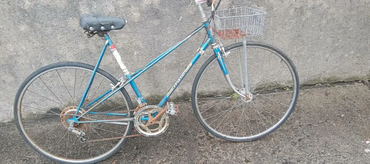 Adults bike - Image 3