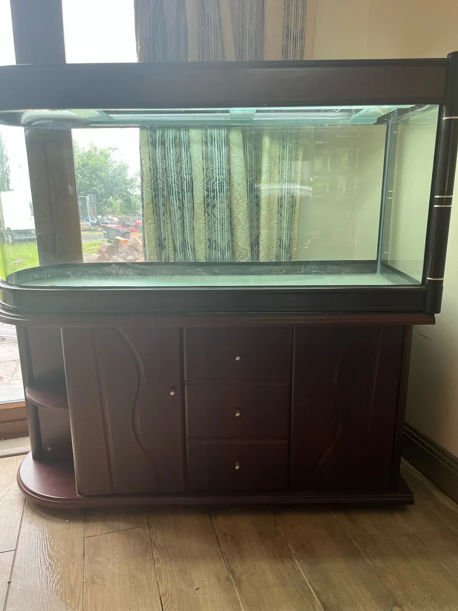 Large Fish Tank - Image 1