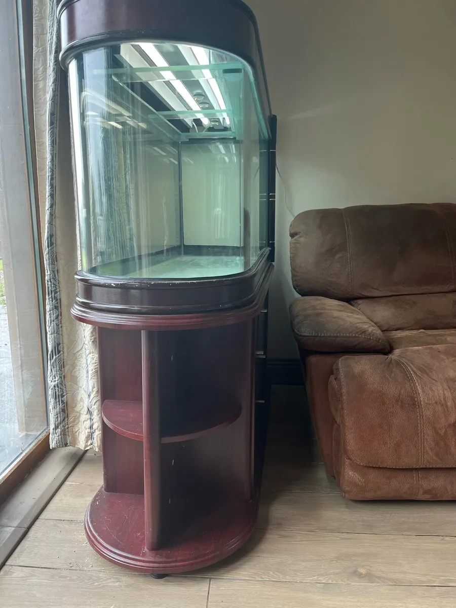 Large Fish Tank - Image 2