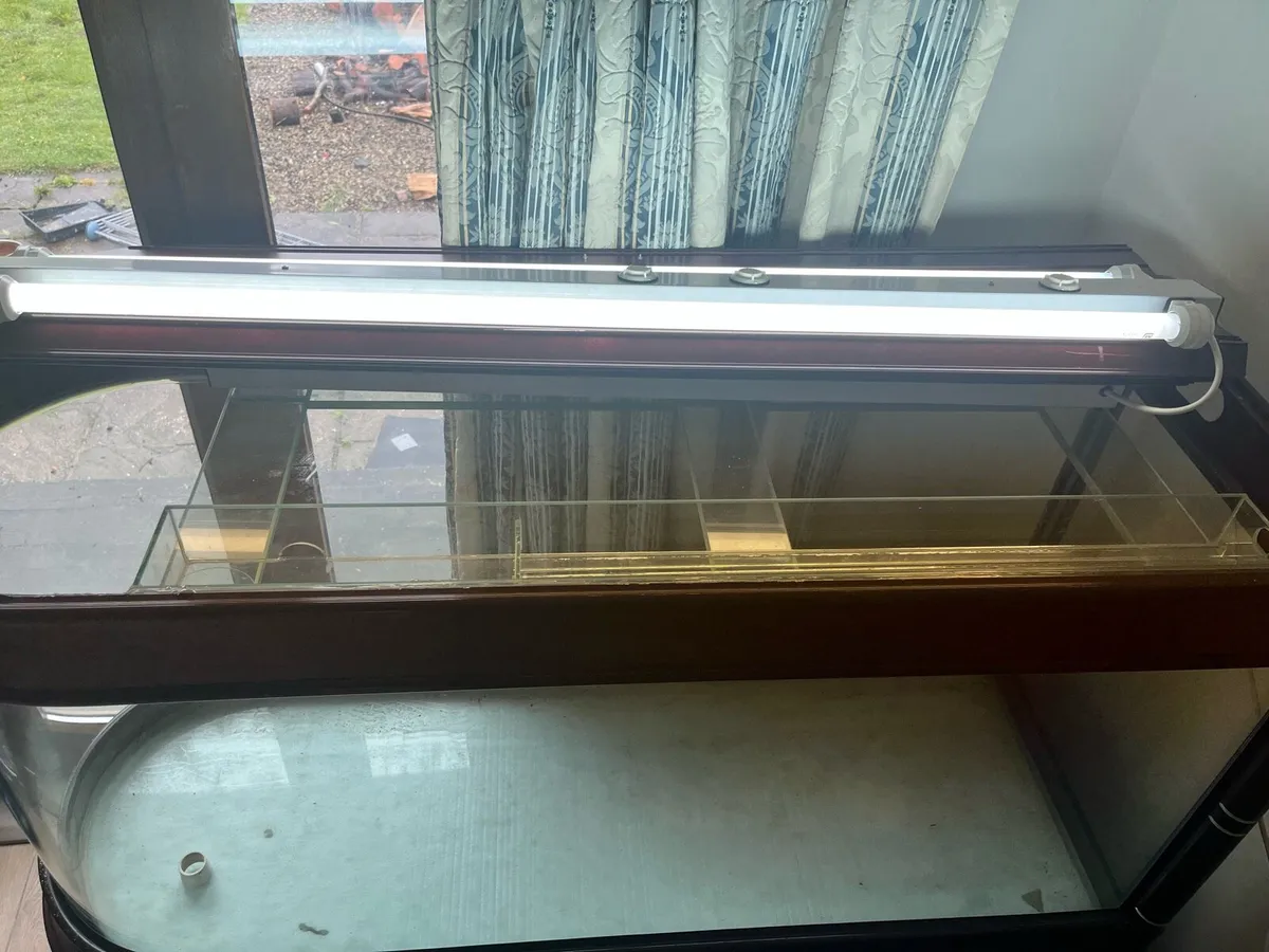 Large Fish Tank - Image 3