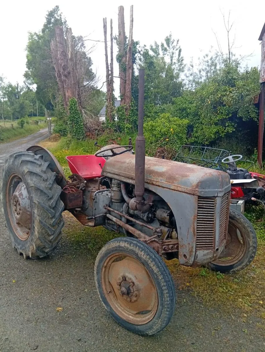 20 Diesel - Image 1