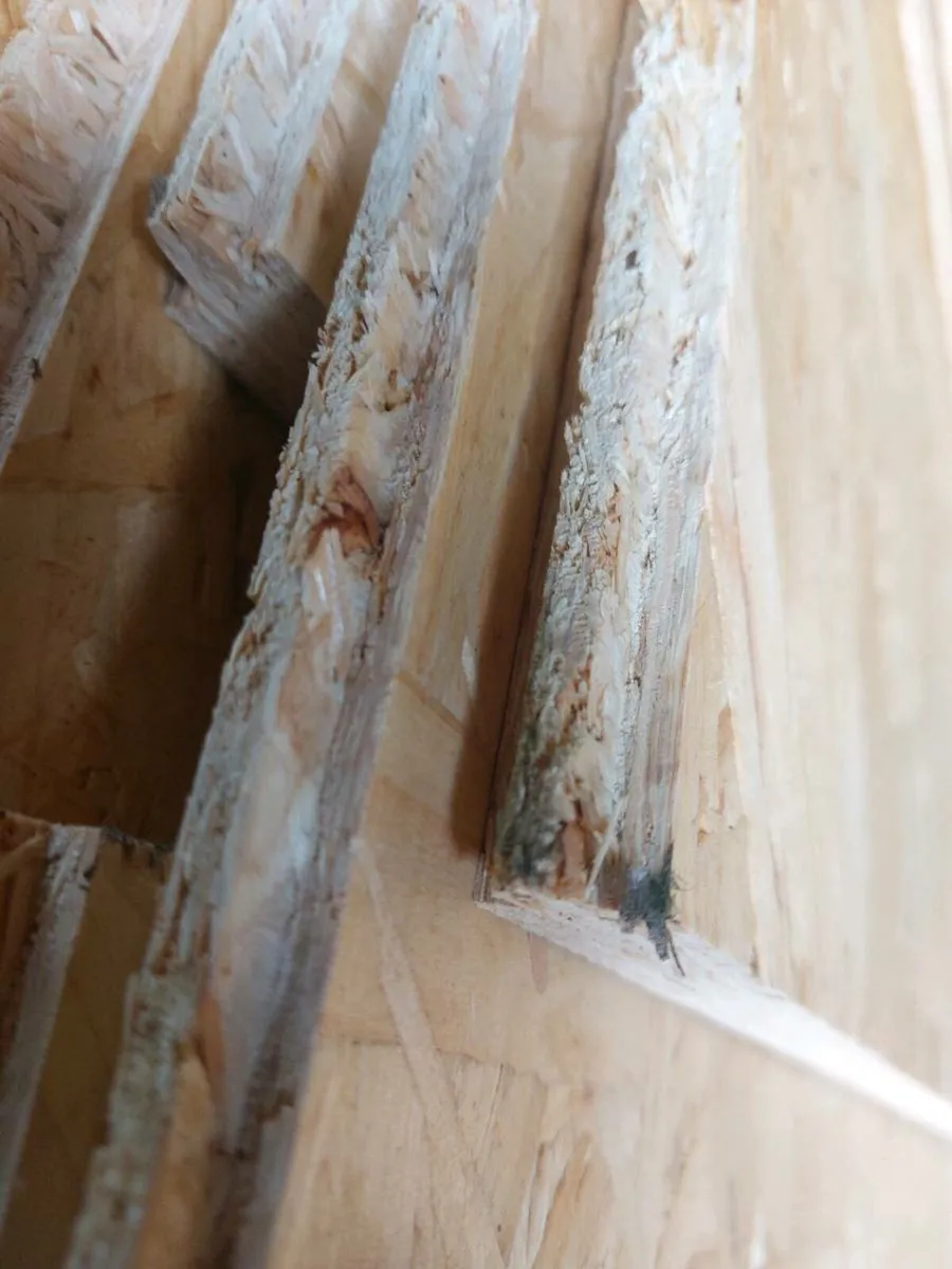 Osb Boards. Heavy Duty Attic Flooring. Stud walls - Image 2