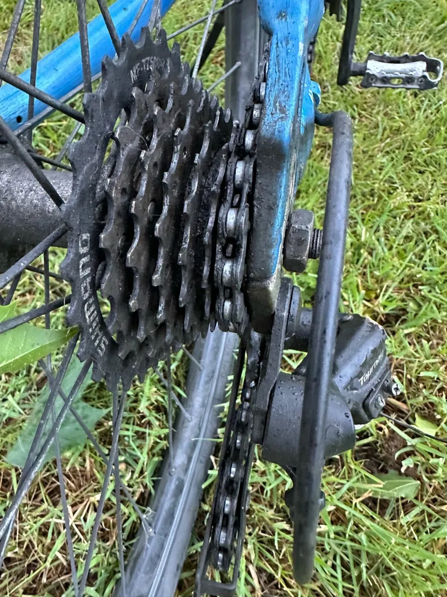 Bike - Image 2