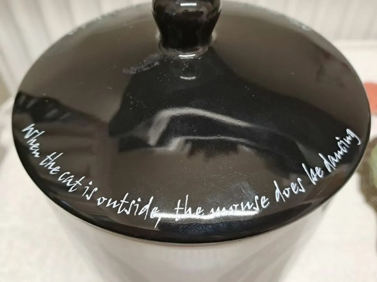 John Hinde biscuit jar - Image 2