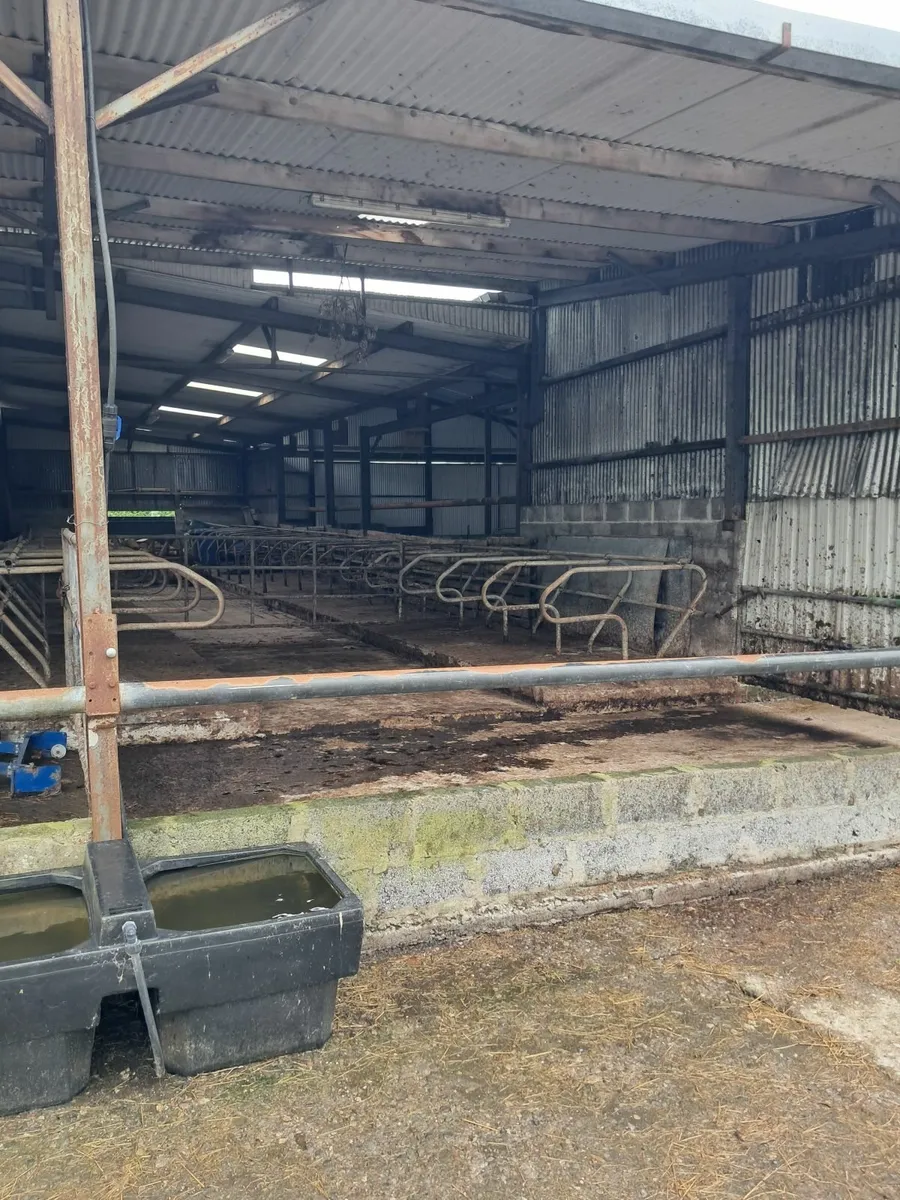 Shed for winter - Image 1