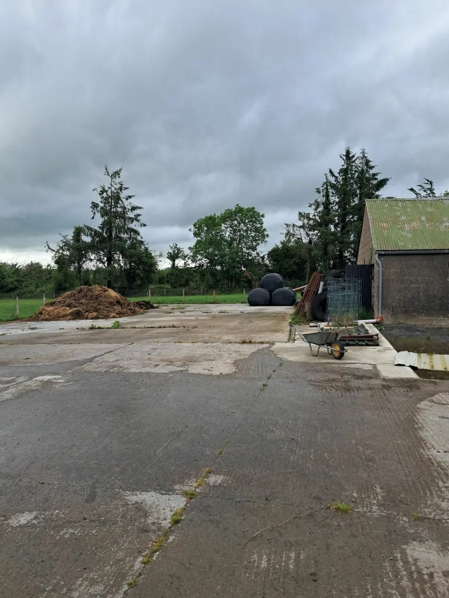 Shed for winter - Image 2