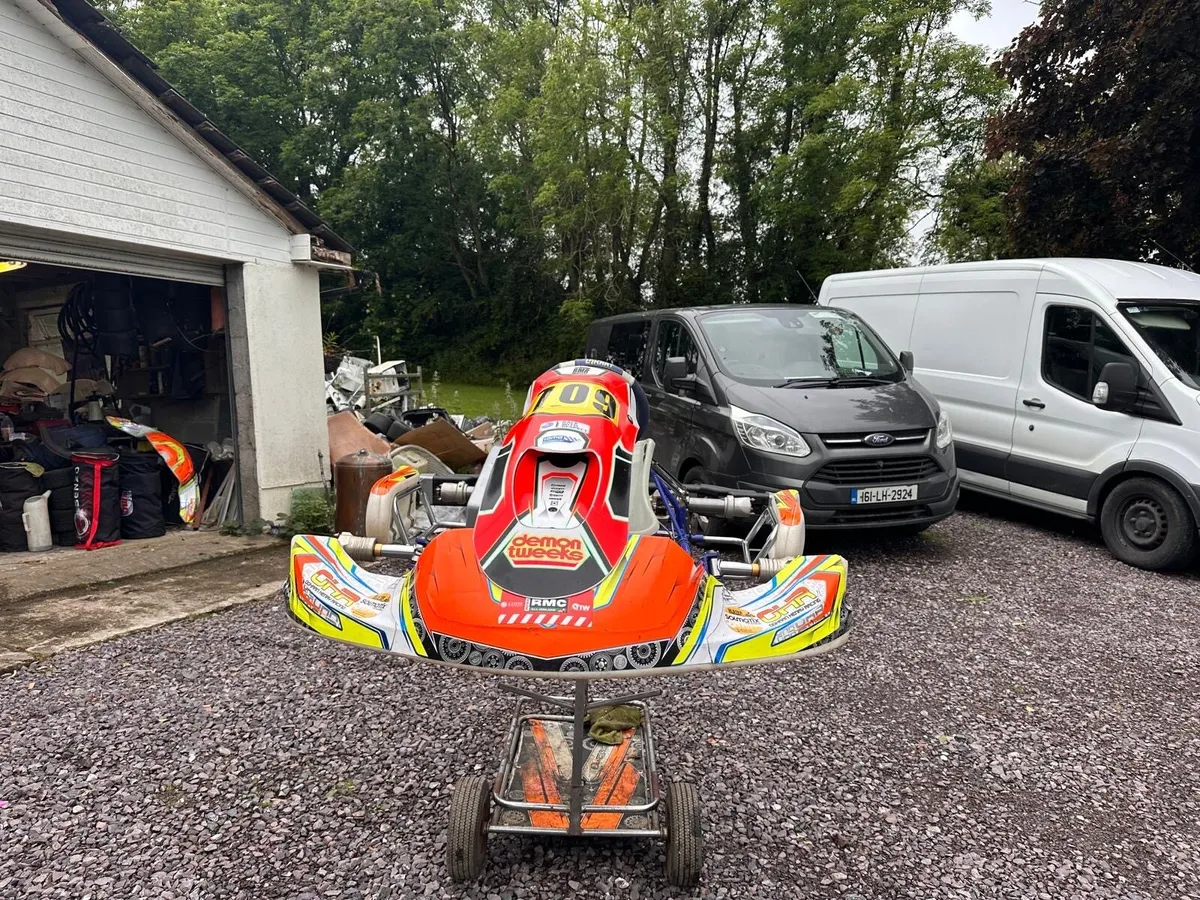 2024 LN4 kart - Image 1