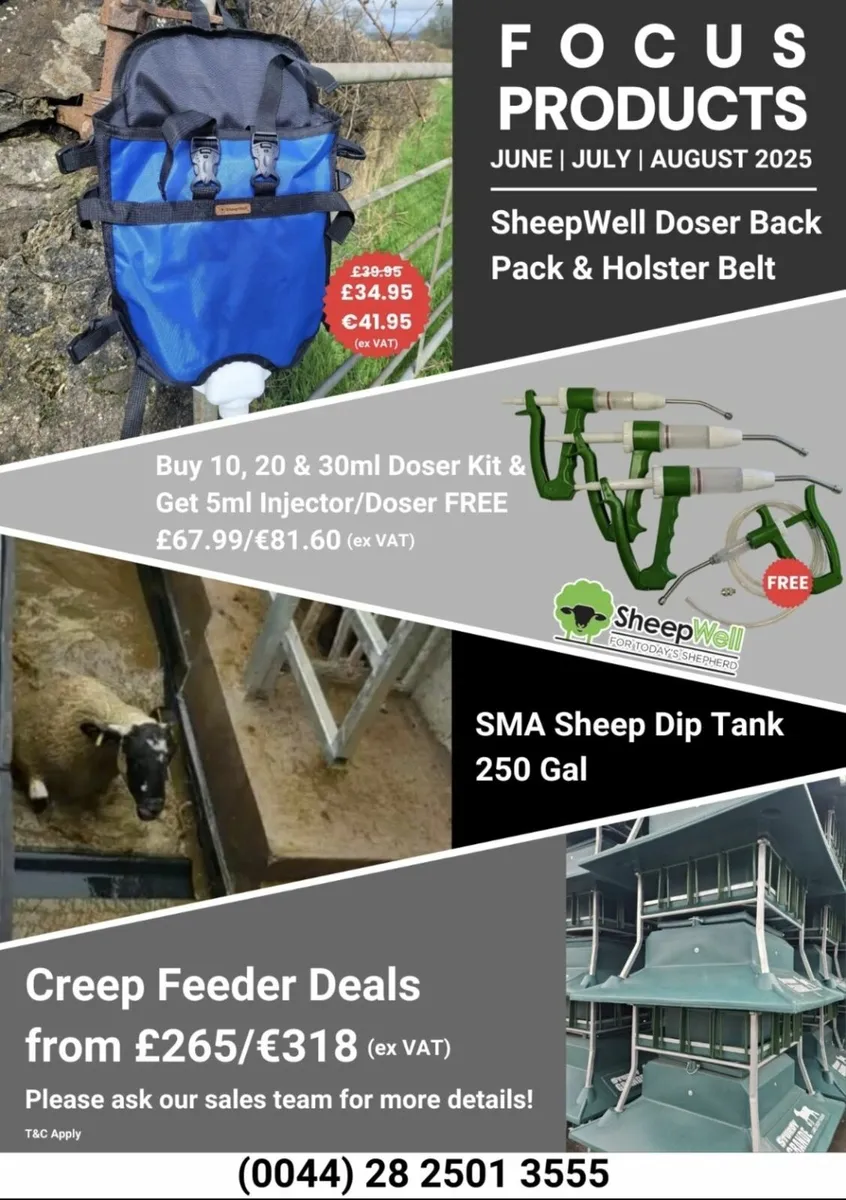 Summer Deals, June, July, August 2025 - Image 2