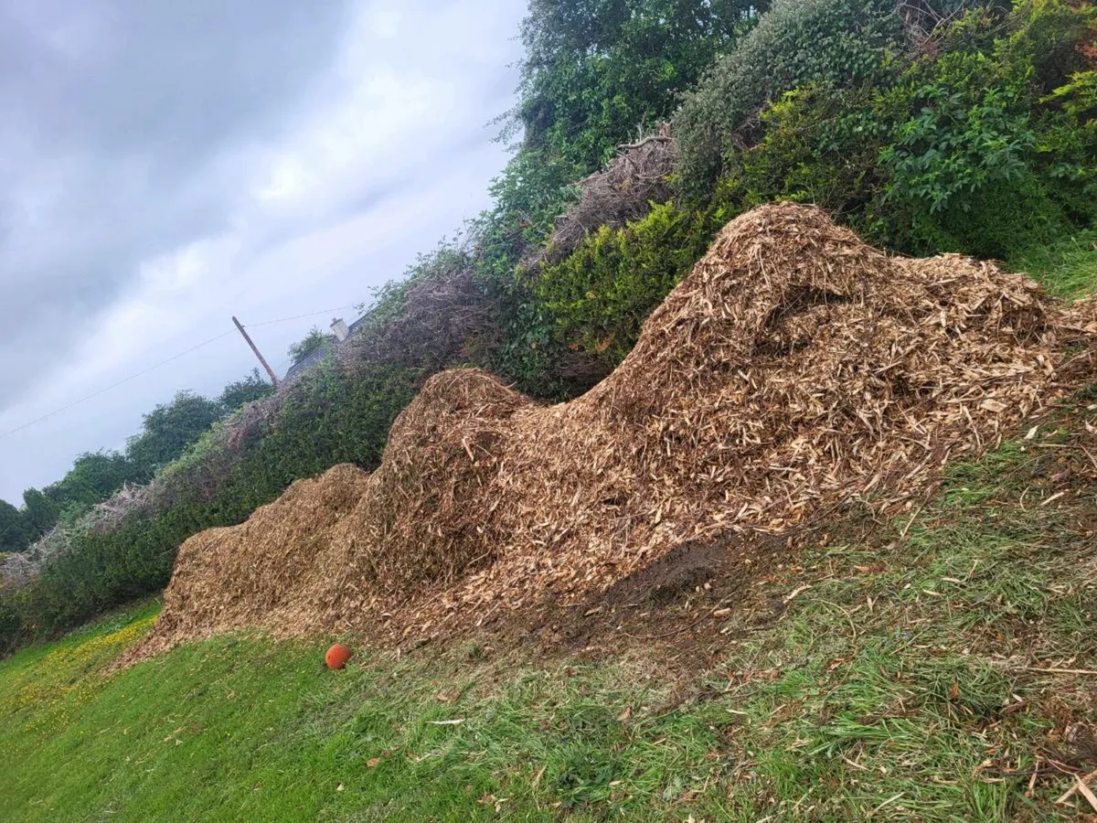 Wood chip/mulch - Image 1