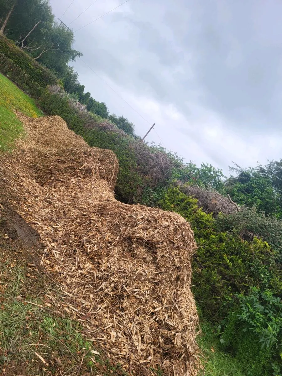 Wood chip/mulch - Image 2