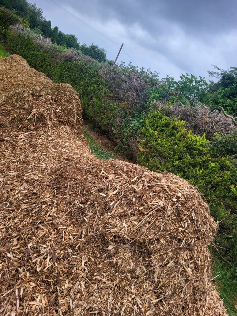 Wood chip/mulch - Image 3