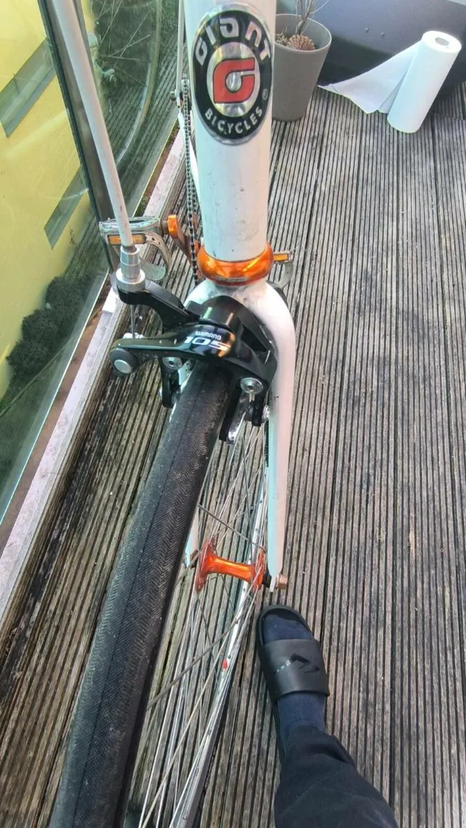 Fixie Single speed bike size M Giant - Image 3