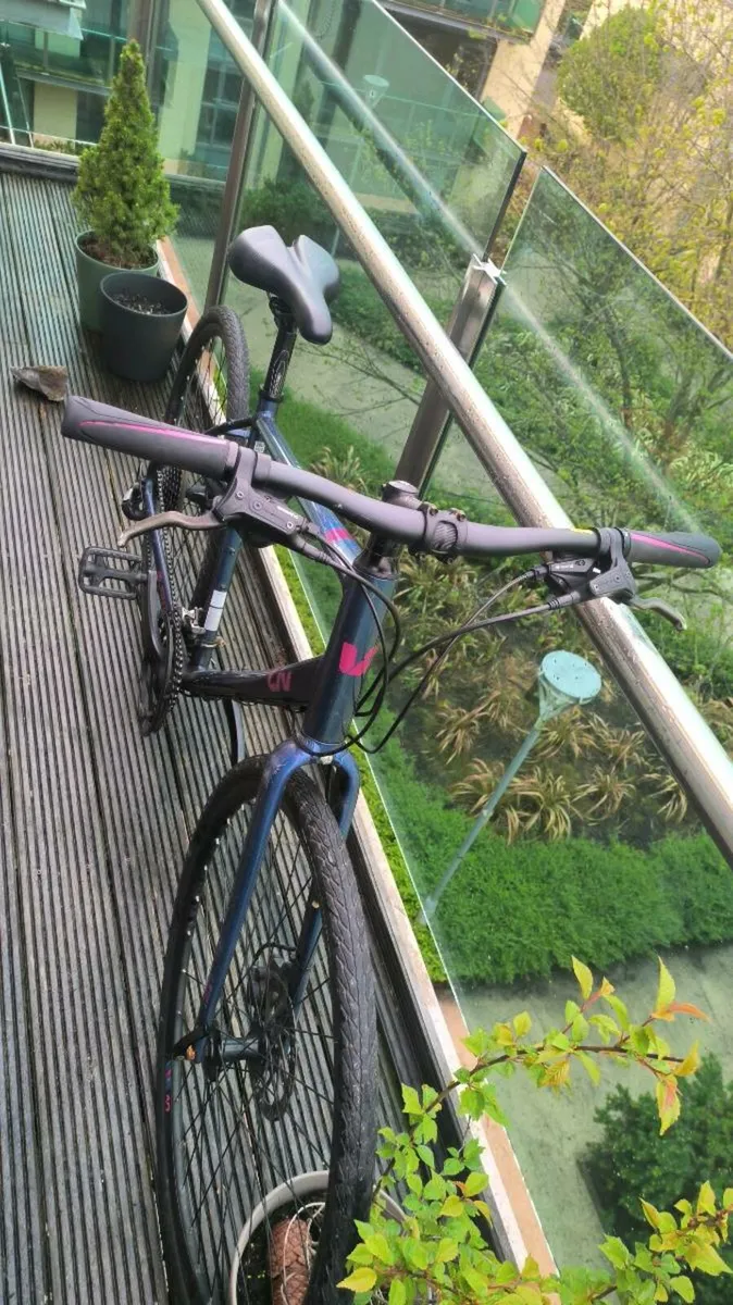 Bike Giant size L - Image 2