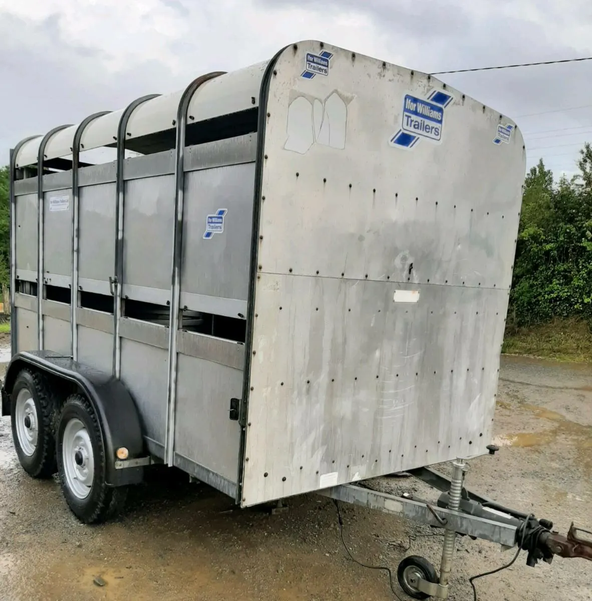 Ifor Williams 10 x 6 cattle/sheep trailer - Image 1