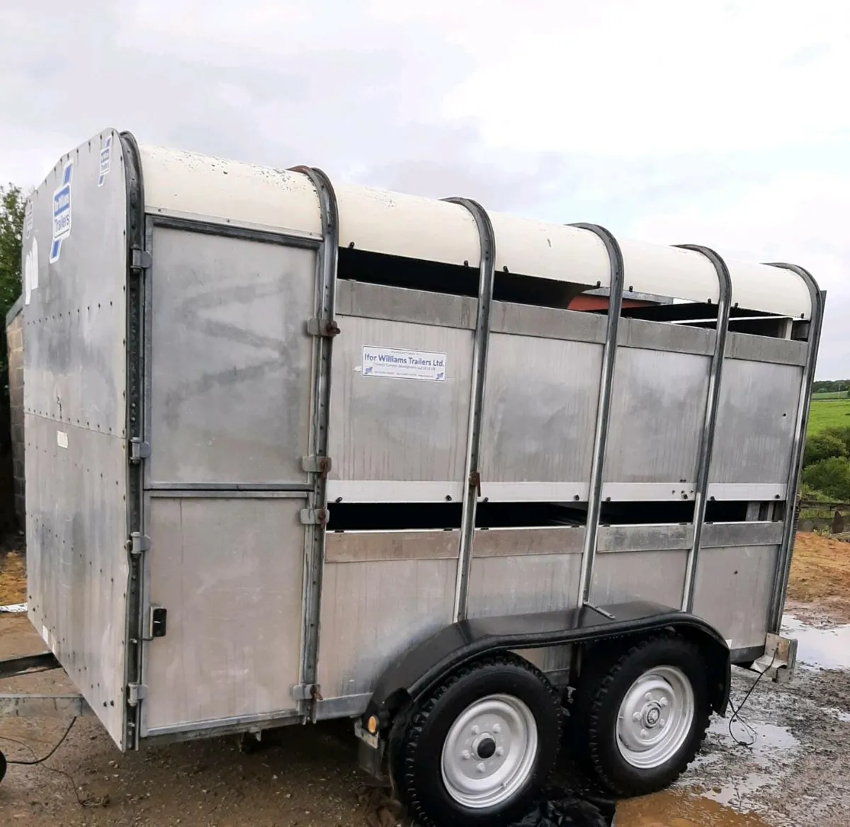 Ifor Williams 10 x 6 cattle/sheep trailer - Image 3