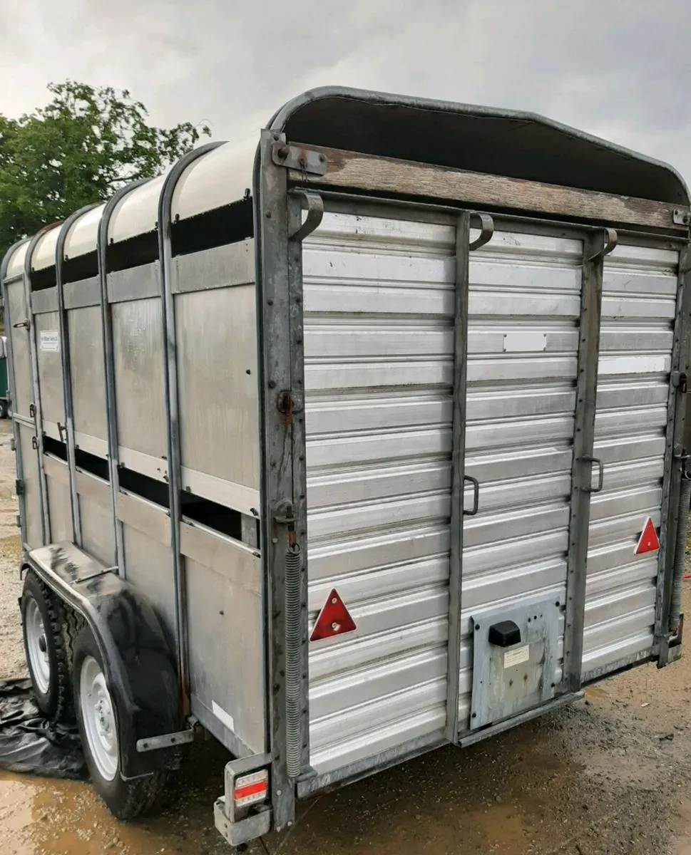 Ifor Williams 10 x 6 cattle/sheep trailer - Image 4