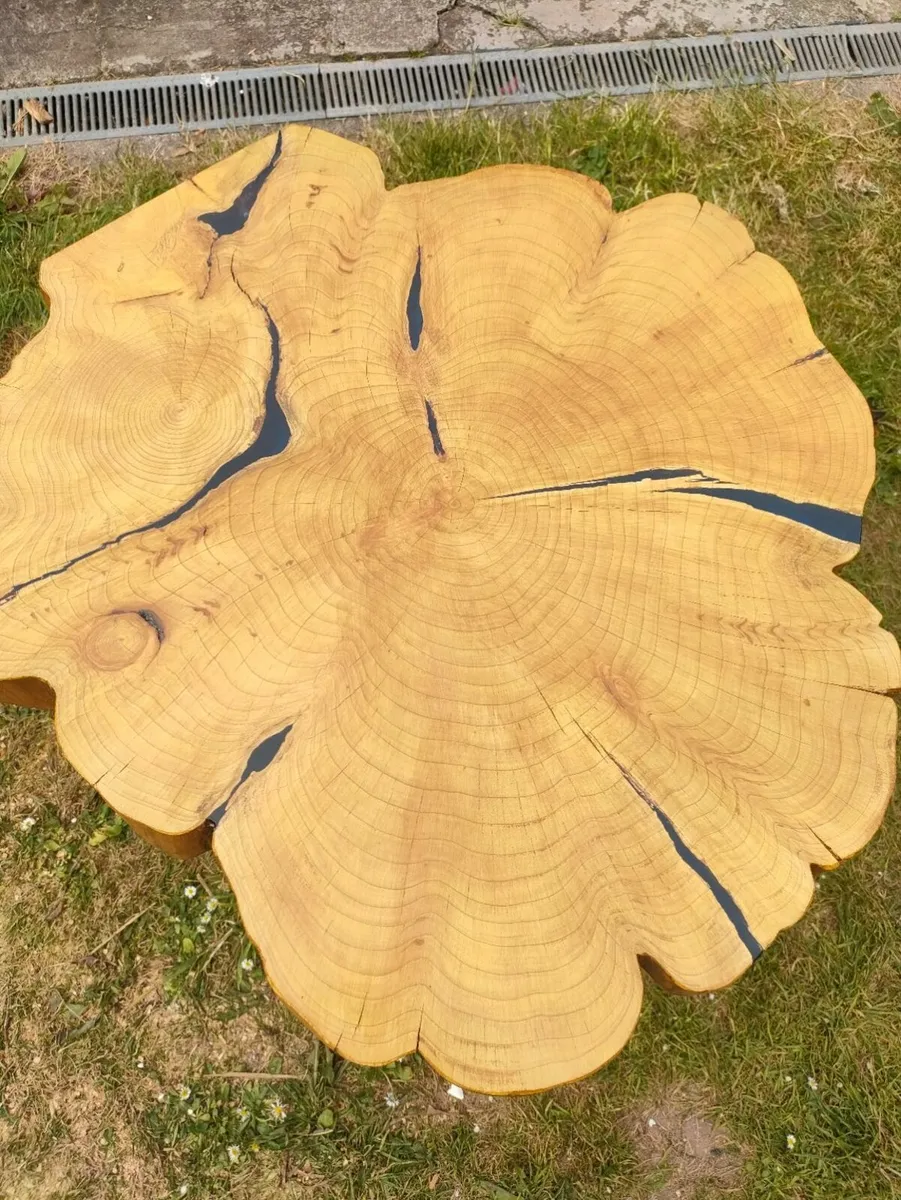 solid wood trunk table - Image 2