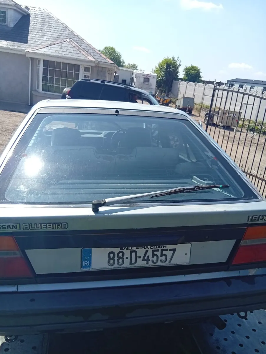 Nissan bluebird - Image 2