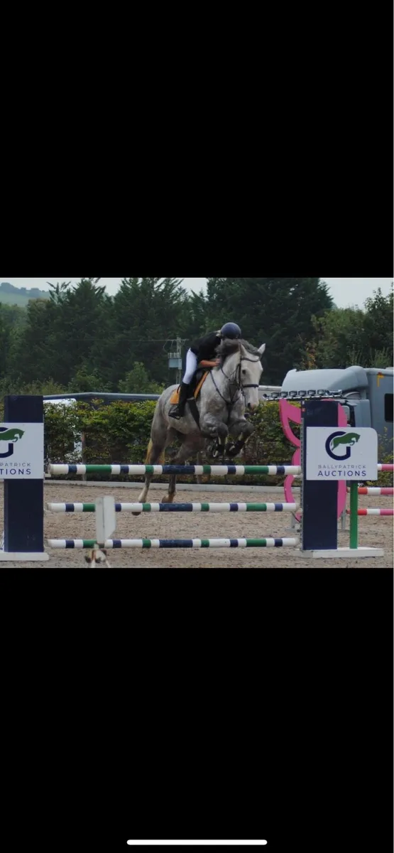 Horse - Image 3