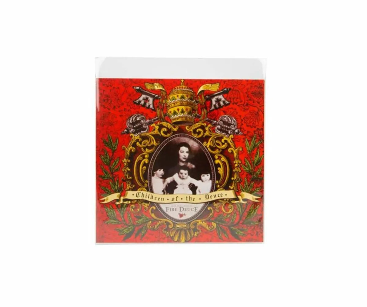 10" Vinyl Record Plastic Cover Sleeves - WITH FLAP - Image 3