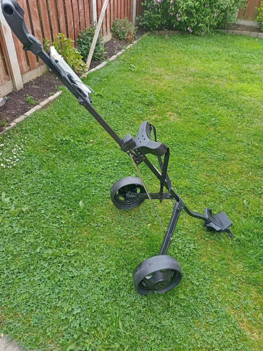 Golf king. Golf trolley. - Image 3
